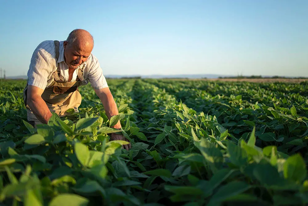 mtplastics-agricultura